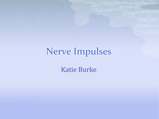 Nerve Impulses Katie Burke 