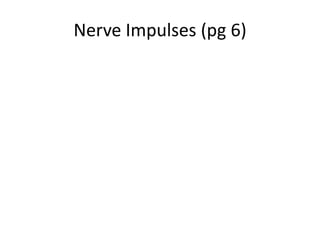 Nerve Impulses (pg 6)
 