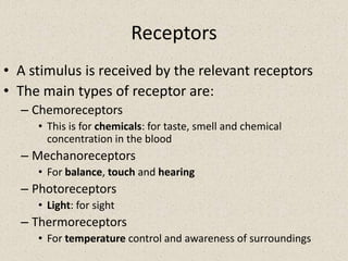 ReceptorsA stimulus is received by the relevant receptorsThe main types of receptor are:ChemoreceptorsThis is for chemicals: for taste, smell and chemical concentration in the bloodMechanoreceptorsFor balance, touch and hearingPhotoreceptorsLight: for sightThermoreceptorsFor temperature control and awareness of surroundings