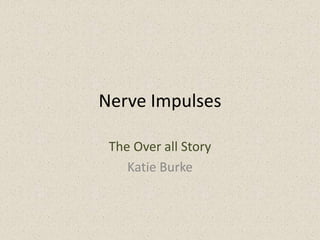 Nerve Impulses The Over all Story Katie Burke 