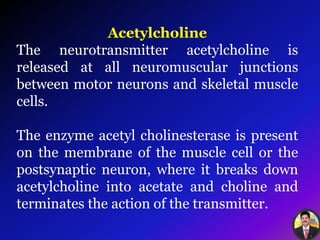 Acetylcholine
The neurotransmitter acetylcholine is
released at all neuromuscular junctions
between motor neurons and skeletal muscle
cells.
The enzyme acetyl cholinesterase is present
on the membrane of the muscle cell or the
postsynaptic neuron, where it breaks down
acetylcholine into acetate and choline and
terminates the action of the transmitter.
 