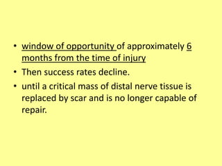 • window of opportunity of approximately 6
months from the time of injury
• Then success rates decline.
• until a critical mass of distal nerve tissue is
replaced by scar and is no longer capable of
repair.
 