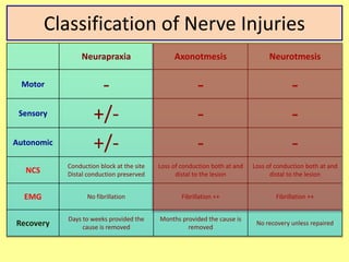 Classification of Nerve Injuries
Neurapraxia Axonotmesis Neurotmesis
Motor - - -
Sensory +/- - -
Autonomic +/- - -
NCS
Conduction block at the site
Distal conduction preserved
Loss of conduction both at and
distal to the lesion
Loss of conduction both at and
distal to the lesion
EMG No fibrillation Fibrillation ++ Fibrillation ++
Recovery
Days to weeks provided the
cause is removed
Months provided the cause is
removed
No recovery unless repaired
 