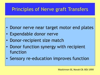 Principles of Nerve graft Transfers
• Donor nerve near target motor end plates
• Expendable donor nerve
• Donor-recipient size match
• Donor function synergy with recipient
function
• Sensory re-education improves function
Mackinnon SE, Novak CB. BDJ 1999
 