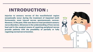 Injuries to sensory nerves of the maxillofacial region
occasionally occur during the treatment of impacted teeth
Fortunately, most injured nerves spontaneously recover.
However, in the past, little was done to treat persistent sensory
nerve disorders. Advances in the understanding of how nerves
heal and in the surgical means of repairing peripheral nerves
provide patients with the possibility of partially or fully
regaining normal nerve function.
INTRODUCTION :
 