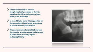The inferior alveolar nerve is
morphologically unusual in that its
travels a significant distance within
bone in the mandible .
In mandiblular canal it is supported by
the sounding CT and other structures
in the neuromuscular bundle .
The anatomical relationship between
the inferior alveolar nerve and the root
of third molar may be judged
radiographically
 