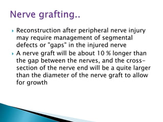  Reconstruction after peripheral nerve injury
may require management of segmental
defects or "gaps" in the injured nerve
 A nerve graft will be about 10 % longer than
the gap between the nerves, and the cross-
section of the nerve end will be a quite larger
than the diameter of the nerve graft to allow
for growth
 