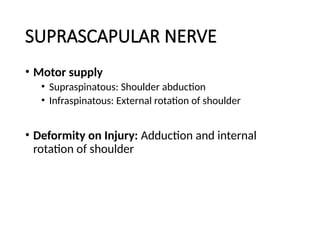 NERVE INJURY-WPS Office. Sciatic nerve and common Peroneal nerve | PPTX