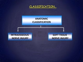 CLASSIFICATION…
ANATOMIC
CLASSIFICATION
INTRAOSSEOUS
NERVE INJURY
SOFT TISSUE
NERVE INJURY
 