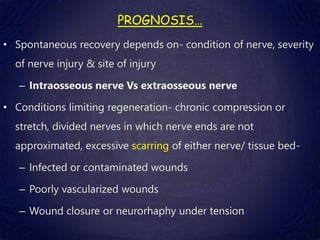 PROGNOSIS…
• Spontaneous recovery depends on- condition of nerve, severity
of nerve injury & site of injury
– Intraosseous nerve Vs extraosseous nerve
• Conditions limiting regeneration- chronic compression or
stretch, divided nerves in which nerve ends are not
approximated, excessive scarring of either nerve/ tissue bed-
– Infected or contaminated wounds
– Poorly vascularized wounds
– Wound closure or neurorhaphy under tension
 