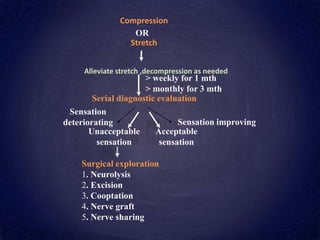 Sensation improving
Sensation
deteriorating
> weekly for 1 mth
> monthly for 3 mth
Unacceptable
sensation
Acceptable
sensation
Stretch
Serial diagnostic evaluation
Surgical exploration
1. Neurolysis
2. Excision
3. Cooptation
4. Nerve graft
5. Nerve sharing
Compression
OR
Alleviate stretch ,decompression as needed
 