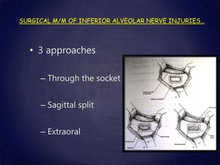 SURGICAL M/M OF INFERIOR ALVEOLAR NERVE INJURIES…
• 3 approaches
– Through the socket
– Sagittal split
– Extraoral
 