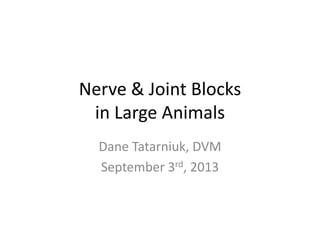 Nerve & Joint Blocks
in Large Animals
Dane Tatarniuk, DVM
September 3rd, 2013
 