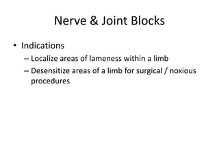 Nerve & Joint Blocks
• Indications
– Localize areas of lameness within a limb
– Desensitize areas of a limb for surgical /...