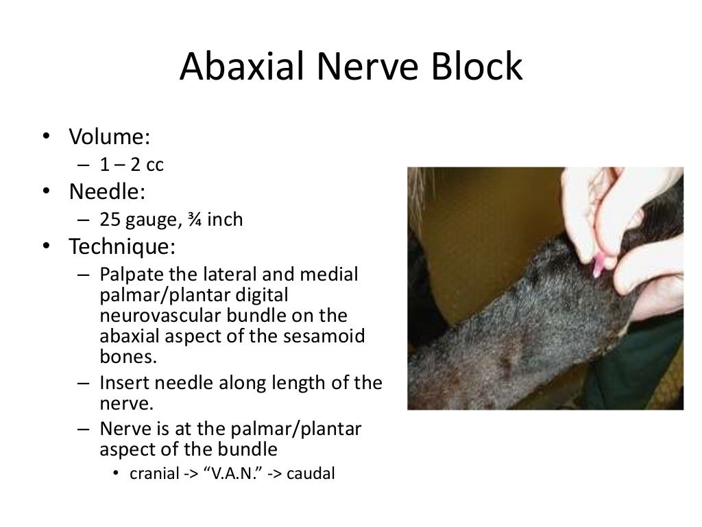 Blocking the horse. Horse-Block. Abaxial.