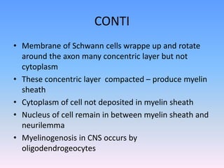 NERVE_MUSCLE_PHYSIOLOGY.ppt