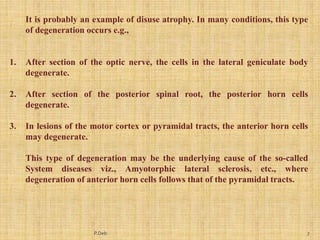 Nerve Muscle Physiology injury and regeneration | PPT