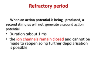 Refractory period
When an action potential is being produced, a
second stimulus will not generate a second action
potential
• Duration :about 1 ms
• the ion channels remain closed and cannot be
made to reopen so no further depolarisation
is possible
 