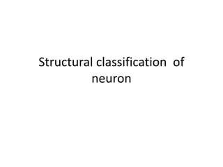 Structural classification of
neuron
 