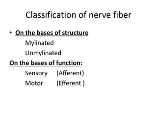 Classification of nerve fiber
• On the bases of structure
Mylinated
Unmylinated
On the bases of function:
Sensory (Afferent)
Motor (Efferent )
 