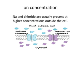 Ion concentration
Na and chloride are usually present at
higher concentrations outside the cell.
 