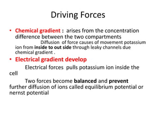Driving Forces
• Chemical gradient : arises from the concentration
difference between the two compartments
Diffusion of force causes of movement potassium
ion from inside to out side through leaky channels due
chemical gradient .
• Electrical gradient develop
Electrical forces pulls potassium ion inside the
cell
Two forces become balanced and prevent
further diffusion of ions called equilibrium potential or
nernst potential
 