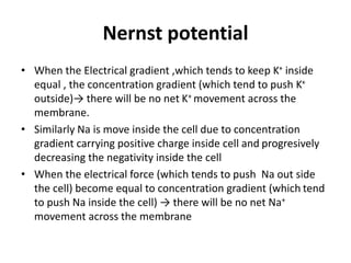 Nernst potential
• When the Electrical gradient ,which tends to keep K+ inside
equal , the concentration gradient (which tend to push K+
outside)→ there will be no net K+ movement across the
membrane.
• Similarly Na is move inside the cell due to concentration
gradient carrying positive charge inside cell and progresively
decreasing the negativity inside the cell
• When the electrical force (which tends to push Na out side
the cell) become equal to concentration gradient (which tend
to push Na inside the cell) → there will be no net Na+
movement across the membrane
 