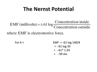 The Nernst Potential
For K + EMF = -61 log 140/4
= - 61 log 35
= - 61* 1.54
= - 94 mv
 