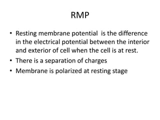 RMP
• Resting membrane potential is the difference
in the electrical potential between the interior
and exterior of cell when the cell is at rest.
• There is a separation of charges
• Membrane is polarized at resting stage
 