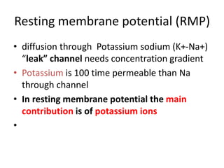Resting membrane potential (RMP)
• diffusion through Potassium sodium (K+-Na+)
“leak” channel needs concentration gradient
• Potassium is 100 time permeable than Na
through channel
• In resting membrane potential the main
contribution is of potassium ions
•
 