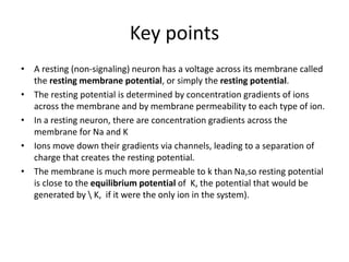 Key points
• A resting (non-signaling) neuron has a voltage across its membrane called
the resting membrane potential, or simply the resting potential.
• The resting potential is determined by concentration gradients of ions
across the membrane and by membrane permeability to each type of ion.
• In a resting neuron, there are concentration gradients across the
membrane for Na and K
• Ions move down their gradients via channels, leading to a separation of
charge that creates the resting potential.
• The membrane is much more permeable to k than Na,so resting potential
is close to the equilibrium potential of K, the potential that would be
generated by  K, if it were the only ion in the system).
 