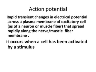 Action potential
Rapid transient changes in electrical potential
across a plasma membrane of excitatory cell
(as of a neuron or muscle fiber) that spread
rapidly along the nerve/muscle fiber
membrane .
it occurs when a cell has been activated
by a stimulus
 