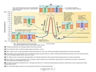 Figure 4-7
 