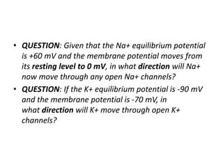 • QUESTION: Given that the Na+ equilibrium potential
is +60 mV and the membrane potential moves from
its resting level to 0 mV, in what direction will Na+
now move through any open Na+ channels?
• QUESTION: If the K+ equilibrium potential is -90 mV
and the membrane potential is -70 mV, in
what direction will K+ move through open K+
channels?
 