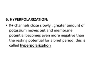 6. HYPERPOLARIZATION:
• K+ channels close slowly , greater amount of
potassium moves out and membrane
potential becomes even more negative than
the resting potential for a brief period; this is
called hyperpolarization
 