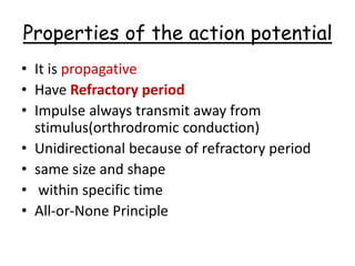 Properties of the action potential
• It is propagative
• Have Refractory period
• Impulse always transmit away from
stimulus(orthrodromic conduction)
• Unidirectional because of refractory period
• same size and shape
• within specific time
• All-or-None Principle
 