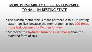 MORE PERMEABILITY OF K+ AS COMPARED
TO NA+ IN RESTING STATE
•The plasma membrane is more permeable to K+ in resting
state than Na+ because the membrane has got 100 times
more leak channels for K+ than for Na+
•Moreover the hydrated form of K+ is smaller than the
hydrated form of Na+
 