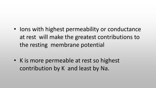 • Ions with highest permeability or conductance
at rest will make the greatest contributions to
the resting membrane potential
• K is more permeable at rest so highest
contribution by K and least by Na.
 