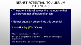 EMF = ± 61 x log (Cin / Cout)
Where 61 is constant & is = RT / z F
Where R= Universal Gas constant
T = Absolute temperature z = ion Valence
F = Faraday, an electrical Constant.
NERNST POTENTIAL (EQUILIBRIUM
POTENTIAL)
• The potential level across the membrane that
will prevent net diffusion of an ion
• Nernst equation determines this potential
E = ± 61 x log (Cin / Cout)
Where 61 is constant & is = RT / z F
the sign of the potential is positive (+) if the ion diffusing is a
negative ion,
and it is negative (-) if the ion is positive.
 
