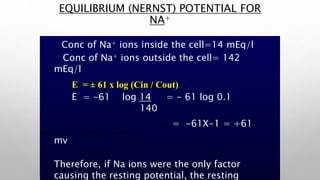 EMF = ± 61 x log (Cin / Cout)
Where 61 is constant & is = RT / z F
Where R= Universal Gas constant
T = Absolute temperature z = ion Valence
F = Faraday, an electrical Constant.
Conc of Na+ ions inside the cell=14 mEq/l
Conc of Na+ ions outside the cell= 142
mEq/l
E = ± 61 x log (Cin / Cout)
E = -61 log 14 = - 61 log 0.1
140
= -61X-1 = +61
mv
Therefore, if Na ions were the only factor
causing the resting potential, the resting
EQUILIBRIUM (NERNST) POTENTIAL FOR
NA+
 