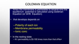 GOLDMAN EQUATION
• When the membrane is permeable to several ions the
equilibrium potential is calculated using Goldman
Equation (or GHK Equation)
• that develops depends on
–Polarity of each ion
–Membrane permeability
–Ionic conc
• In the resting state
– K+ permeability is 50-100 times more than that ofNa+
 