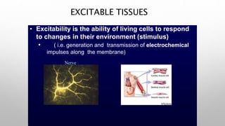 EXCITABLE TISSUES
• Excitability is the ability of living cells to respond
to changes in their environment (stimulus)
• ( i.e. generation and transmission of electrochemical
impulses along the membrane)
Nerve
 