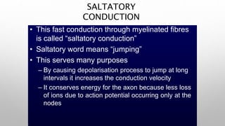 SALTATORY
CONDUCTION
• This fast conduction through myelinated fibres
is called “saltatory conduction”
• Saltatory word means “jumping”
• This serves many purposes
– By causing depolarisation process to jump at long
intervals it increases the conduction velocity
– It conserves energy for the axon because less loss
of ions due to action potential occurring only at the
nodes
 
