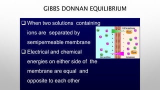 GIBBS DONNAN EQUILIBRIUM
 When two solutions containing
ions are separated by
semipermeable membrane
 Electrical and chemical
energies on either side of the
membrane are equal and
opposite to each other
 
