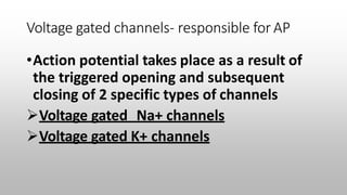 Voltage gated channels- responsible for AP
•Action potential takes place as a result of
the triggered opening and subsequent
closing of 2 specific types of channels
Voltage gated Na+ channels
Voltage gated K+ channels
 