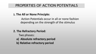 PROPERTIES OF ACTION POTENTIALS
1. The All or None Principle:
Action Potentials occur in all or none fashion
depending on the strength of the stimulus
2. The Refractory Period:
Two phases:
a) Absolute refractory period
b) Relative refractory period
 