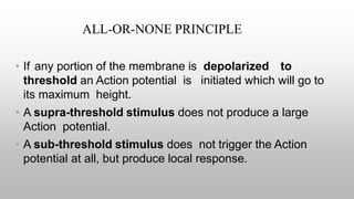 ALL-OR-NONE PRINCIPLE
• If any portion of the membrane is depolarized to
threshold an Action potential is initiated which will go to
its maximum height.
• A supra-threshold stimulus does not produce a large
Action potential.
• A sub-threshold stimulus does not trigger the Action
potential at all, but produce local response.
 