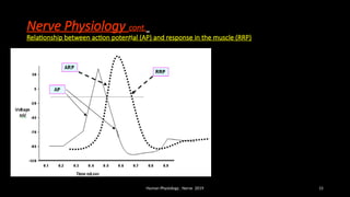 Nerve physiology and good explanation.pptx