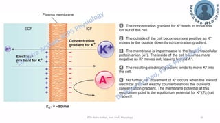 The Nerve Physiology - Membrane Potentials | PDF