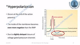 Nerve Physiology - Nerve Action Potential | PDF